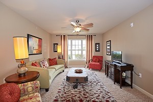 3 Bedroom Apartments in Fayetteville, NC for Rent - Model Living Room with Large Window     